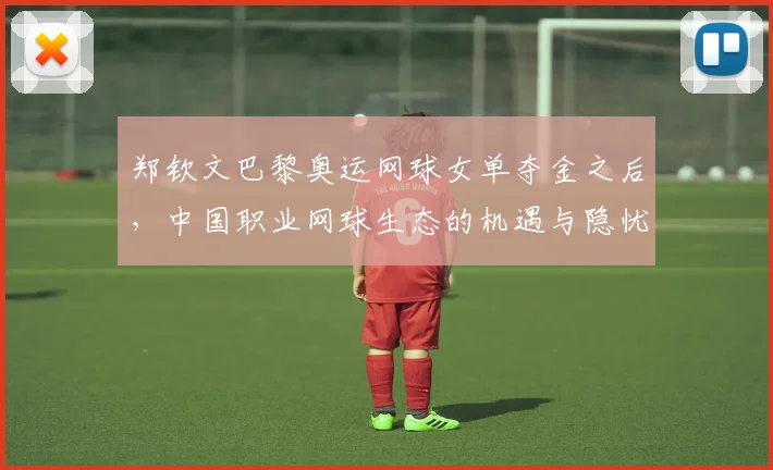 郑钦文巴黎奥运网球女单夺金之后，中国职业网球生态的机遇与隐忧