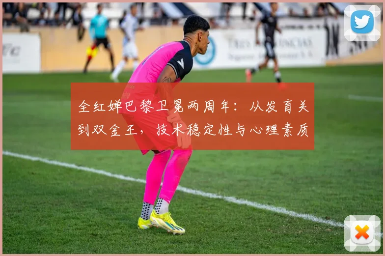 全红婵巴黎卫冕两周年：从发育关到双金王，技术稳定性与心理素质双重蜕变
