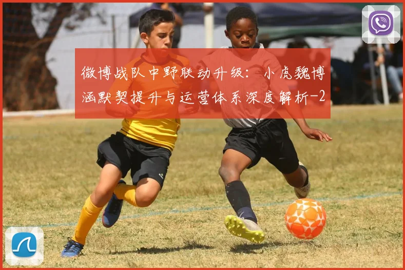 微博战队中野联动升级:小虎魏博涵默契提升与运营体系深度解析