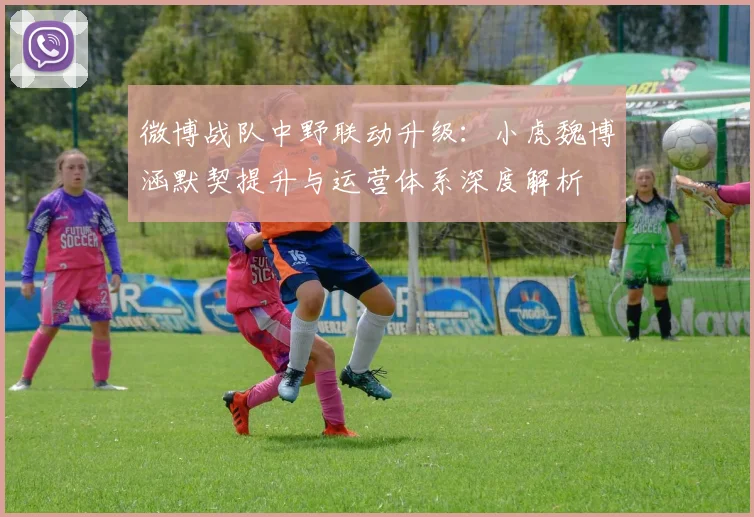 微博战队中野联动升级：小虎魏博涵默契提升与运营体系深度解析