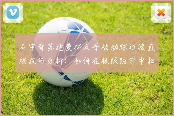 石宇奇苏迪曼杯反手被动球过渡直线技巧分析：如何在极限防守中扭转被动